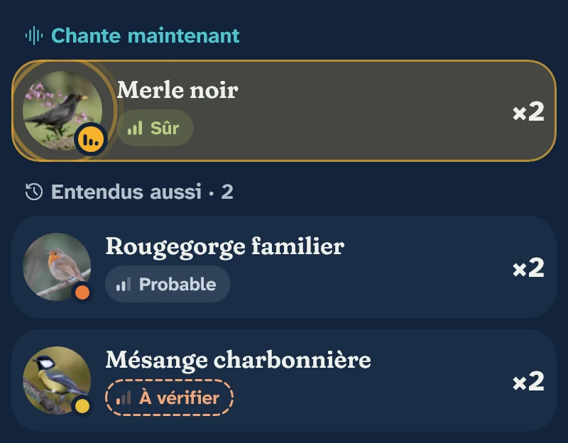 Écran d'écoute : Merle noir en train de chanter, niveau Sûr ; Rougegorge familier, Probable ; Mésange charbonnière, À vérifier.