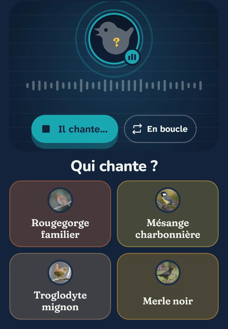 Quiz « Qui chante ? » : un chant à écouter et quatre oiseaux au choix : Rougegorge familier, Mésange charbonnière, Troglodyte mignon, Merle noir.